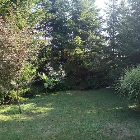 Park Vendeghaz