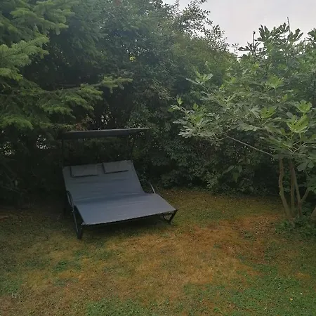 Park Vendeghaz 게스트하우스 3*