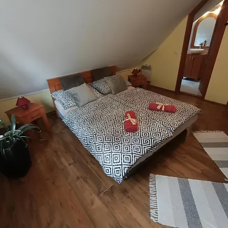 Guest house Park Vendeghaz 3*